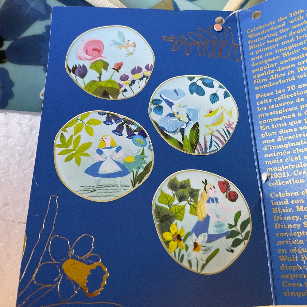 Disney Alice in wonderland plate set
